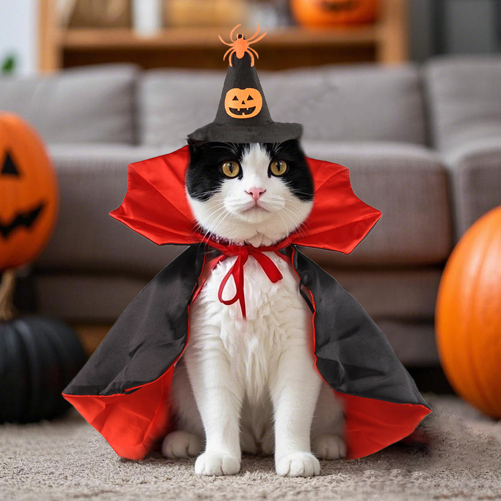 猫服 かぼちゃ魔法使い猫マント