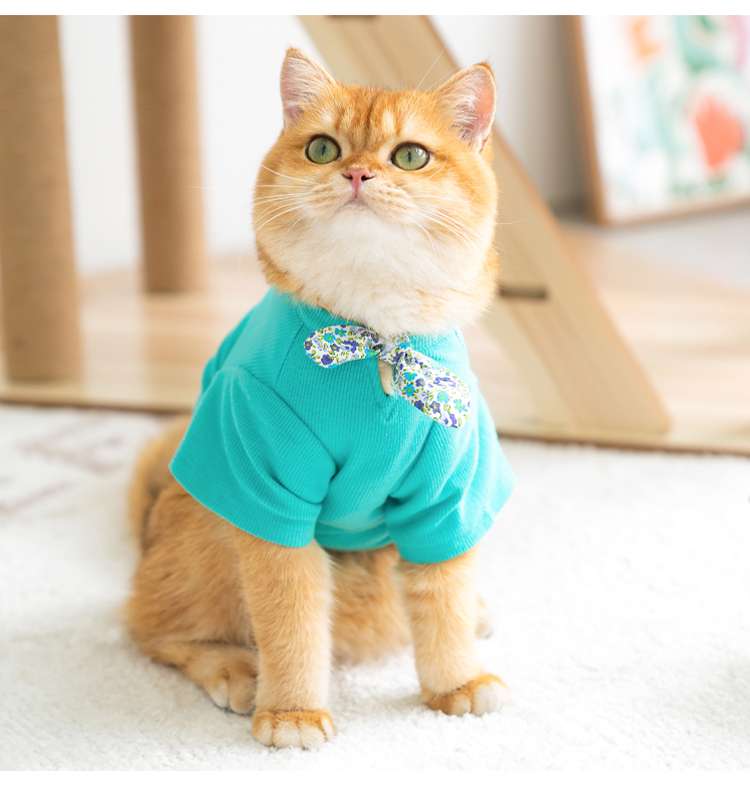 Cat Clothing Clothing | Fluffy Cat Fashion Border