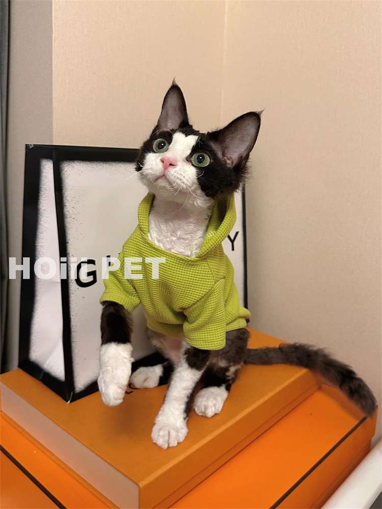 https://fulmo-img-server.com/nekohapi/666edbb97b60417c957cff68537629a4.jepg