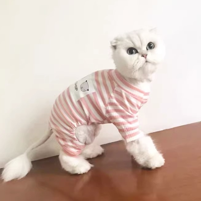 https://fulmo-img-server.com/nekohapi/67a024f7-9a69-436c-baeb-e5942e168960.jpg