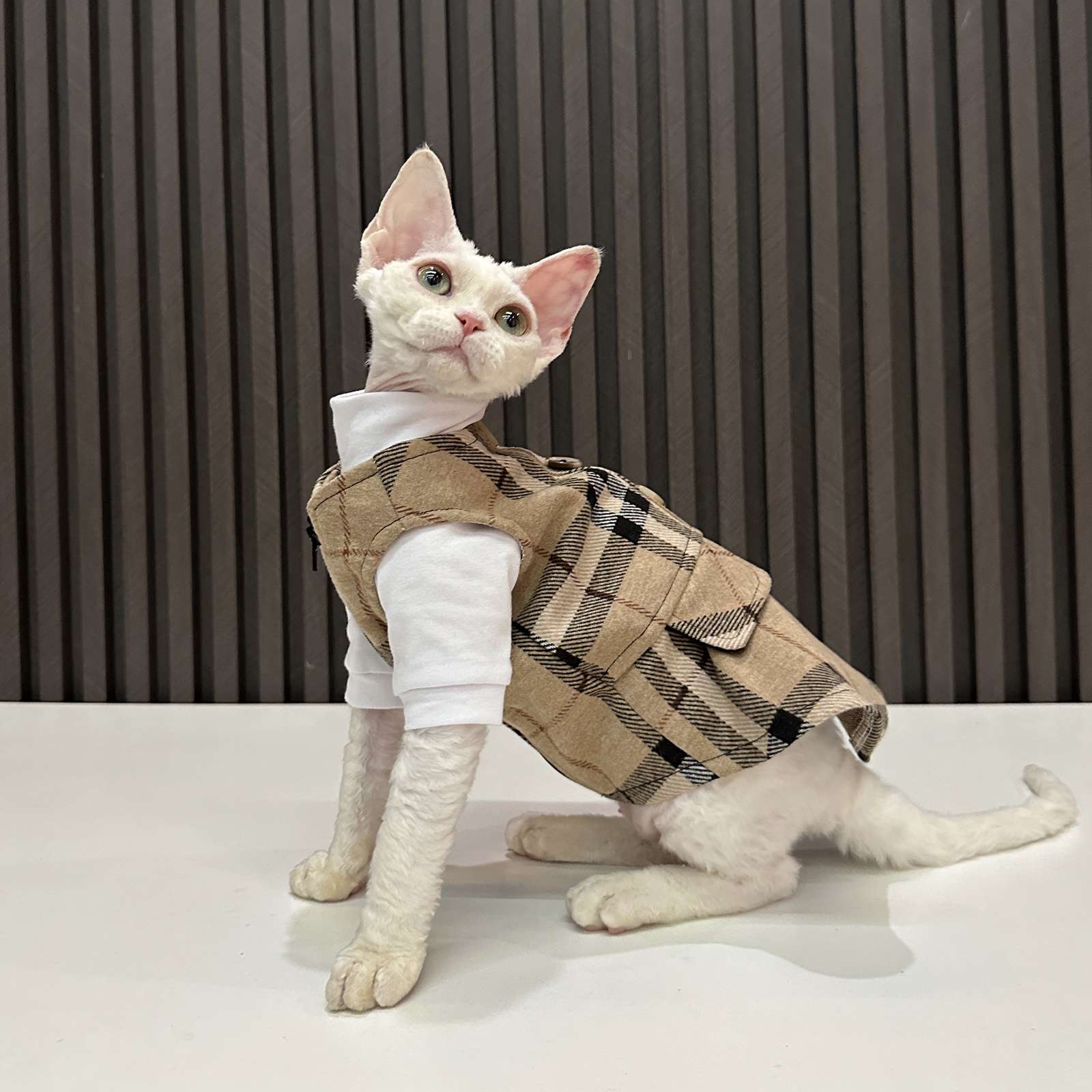 猫服  スフィンクスのお洒落チェック柄ベスト