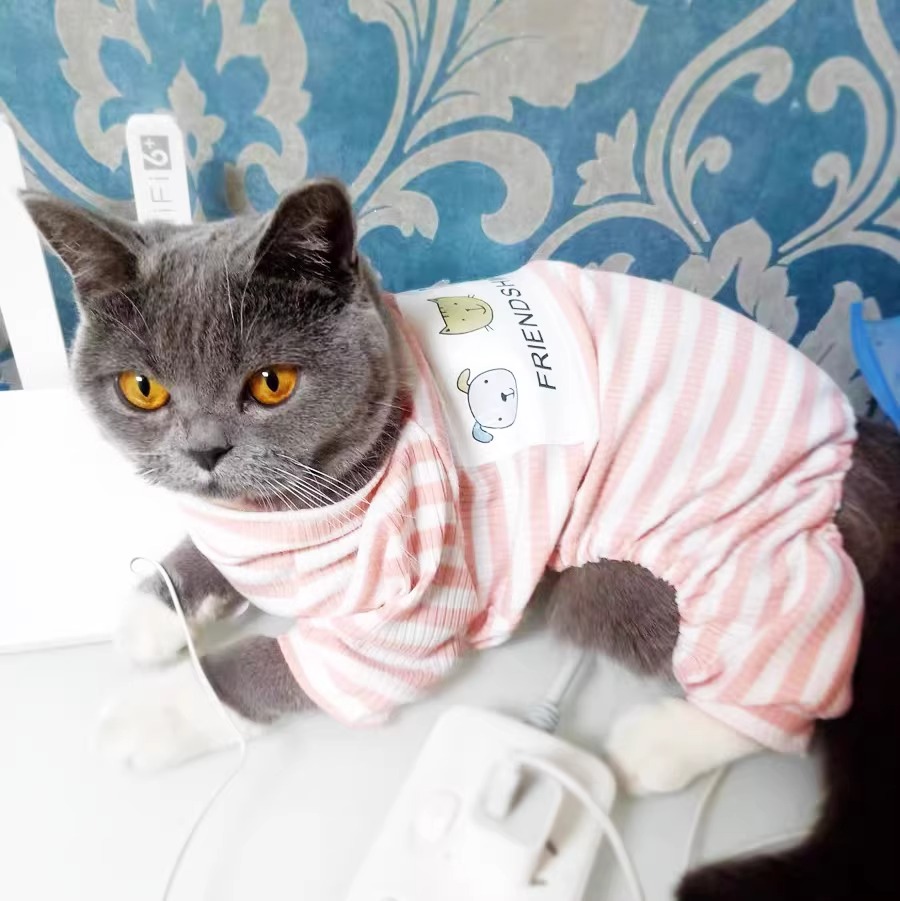 https://fulmo-img-server.com/nekohapi/6a3dc3f3-c05b-4e0a-93a9-c6a4d0bc02f7.jpg