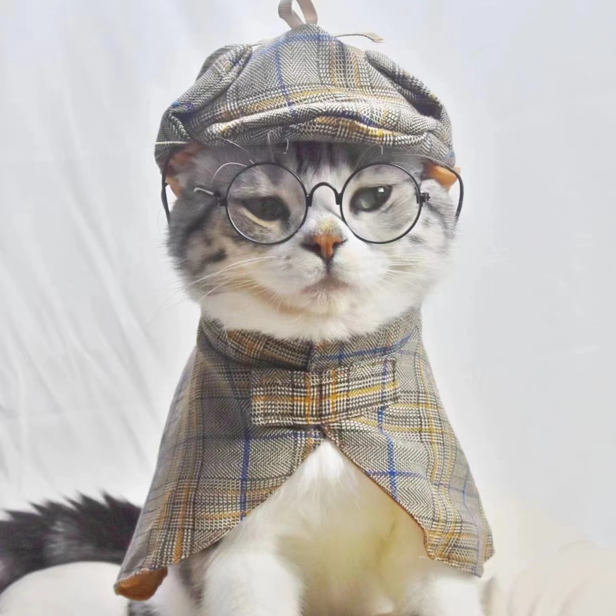 https://fulmo-img-server.com/nekohapi/6ac2ac26-bb7c-4ccf-be02-10b86990381b.jpg