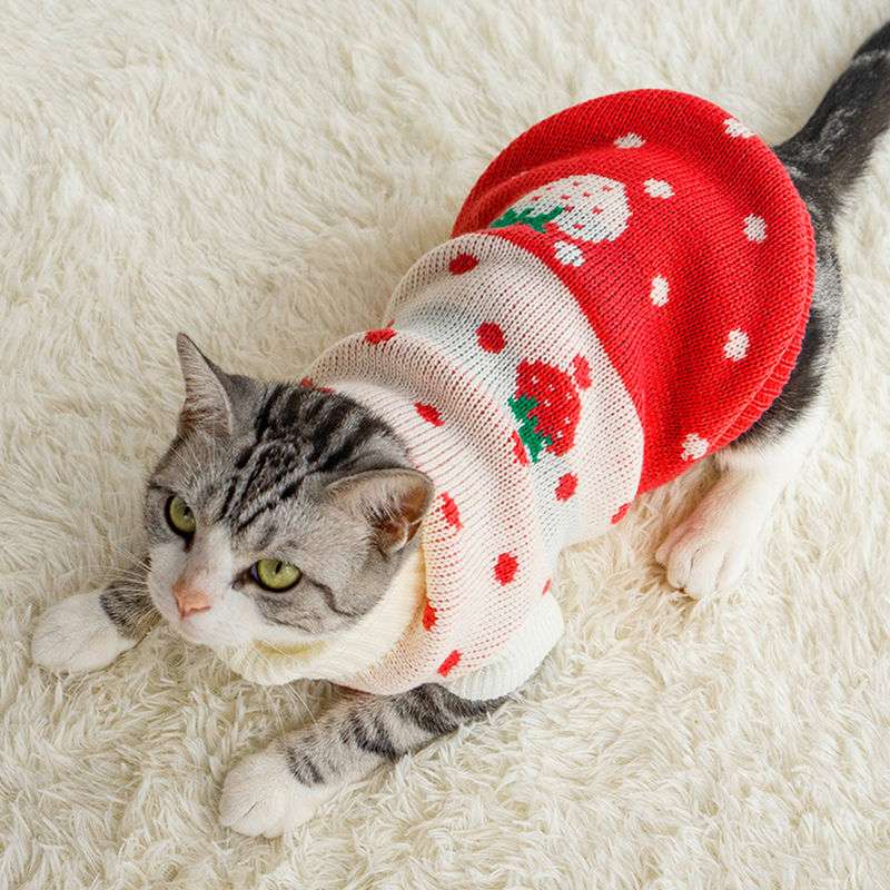 猫服 防寒服 | クリスマス柄ニットセーター猫服