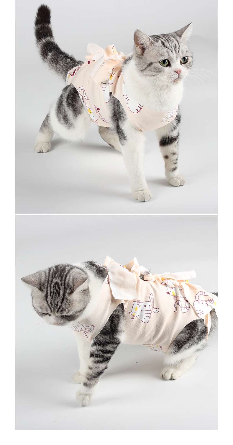 Cat Clothing Winter Jacket | Fluffy Bear Cat Hoodie