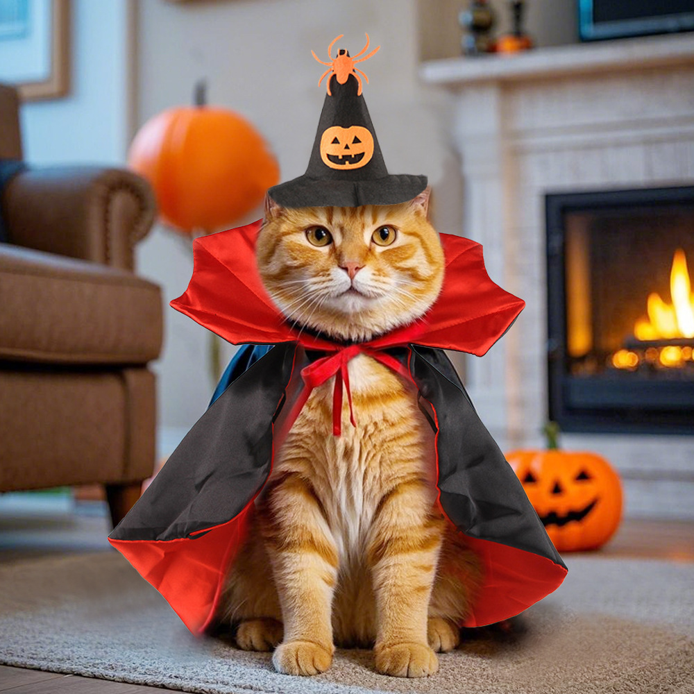 猫服 かぼちゃ魔法使い猫マント