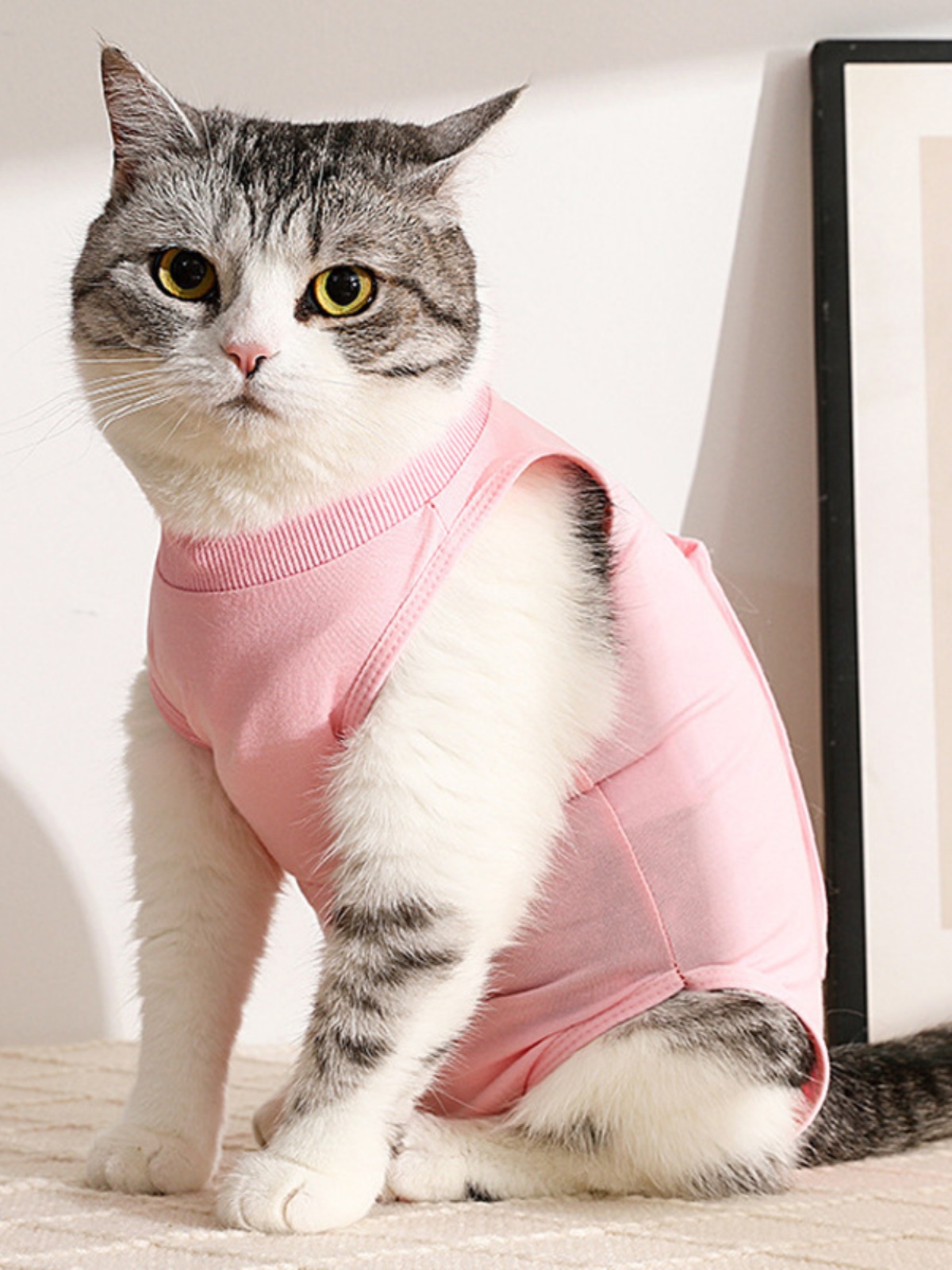 猫服 やさしい抱擁 猫用術後ウェア