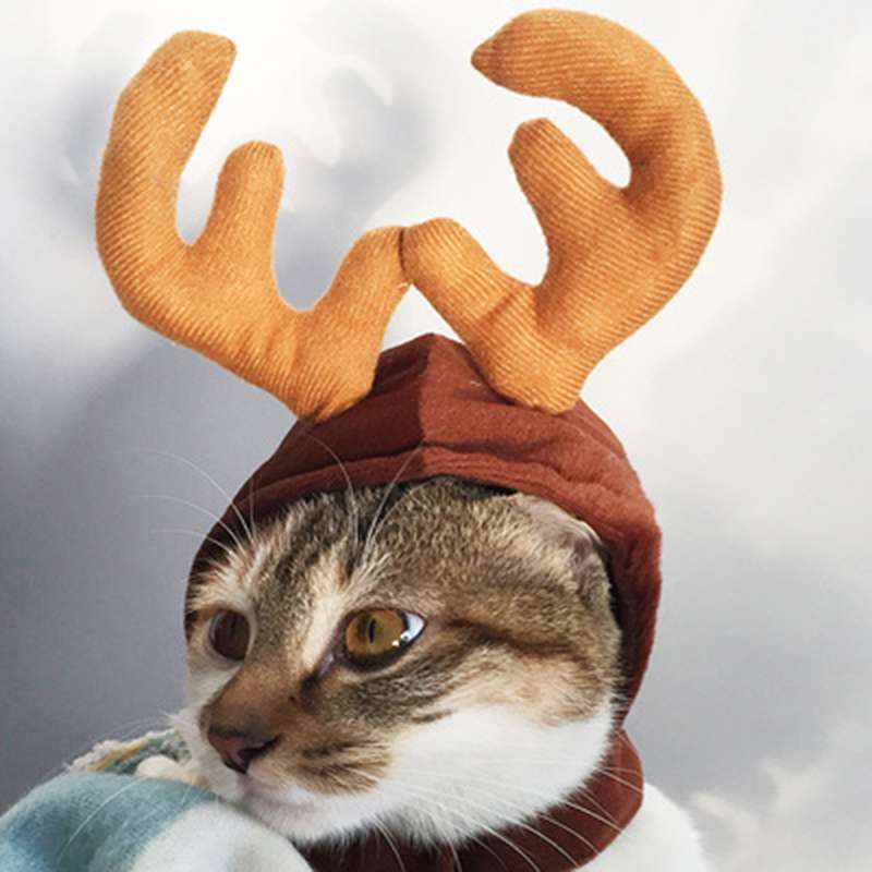 猫服 コスプレ | ねこちゃんのクリスマスコスチューム