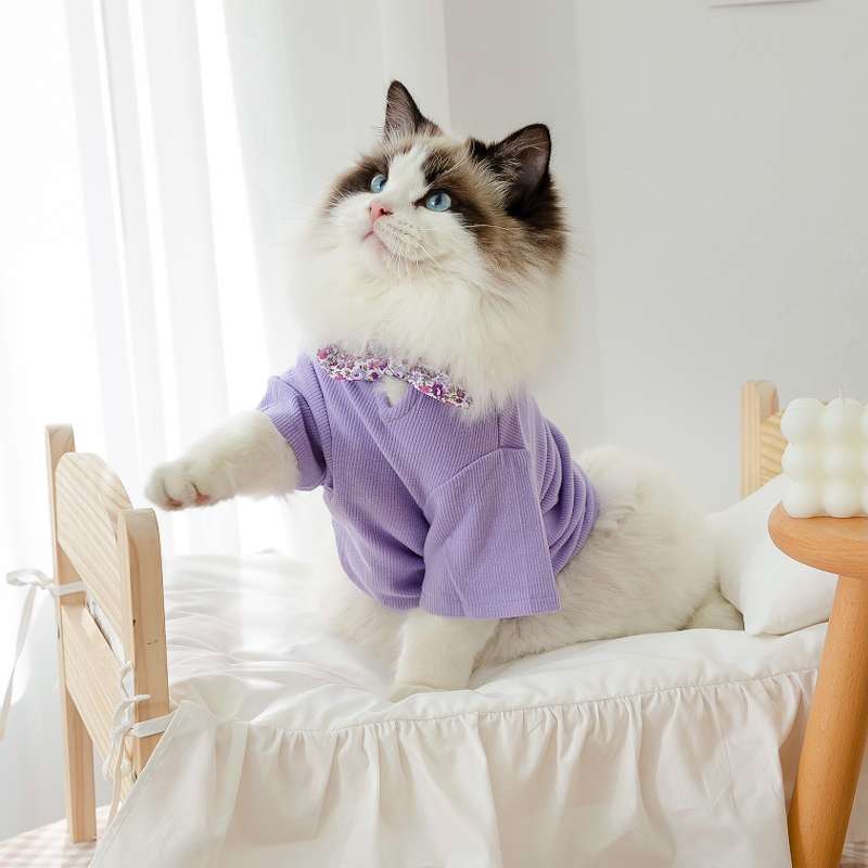 Top 5 Recommended Cute Cat Clothes for 【2025】