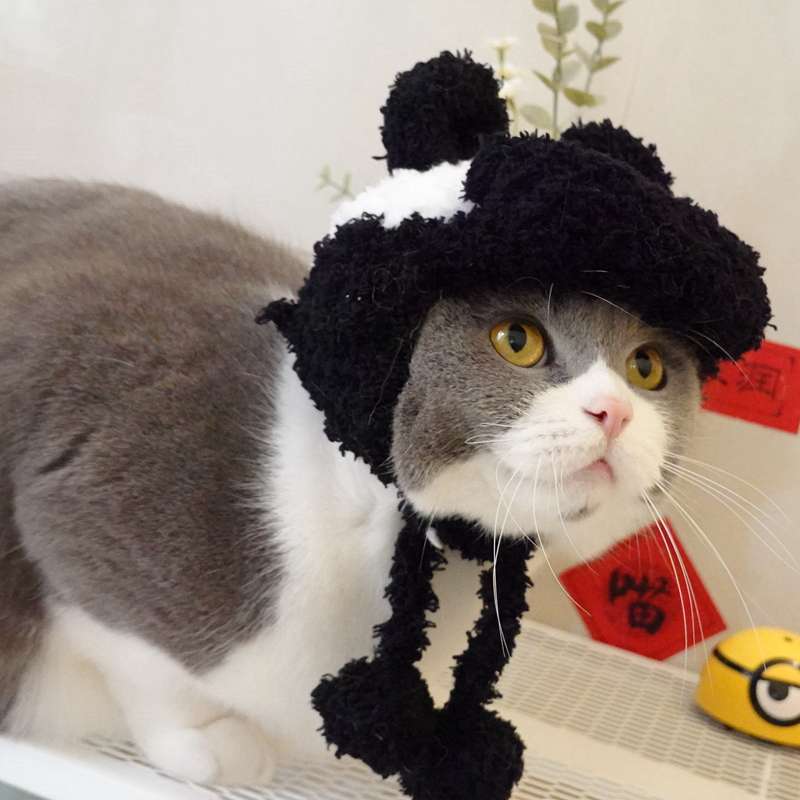 Cat Clothing Hats | Hamburger Cat Hat