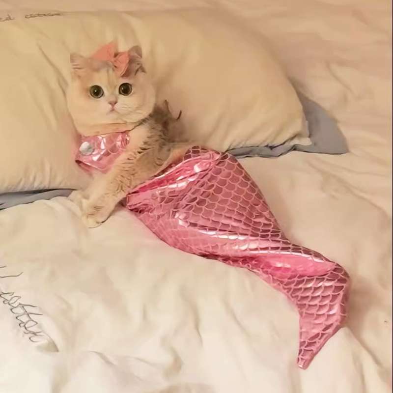 猫服 コスプレ | ふわもこ人魚姫の夢コスチューム