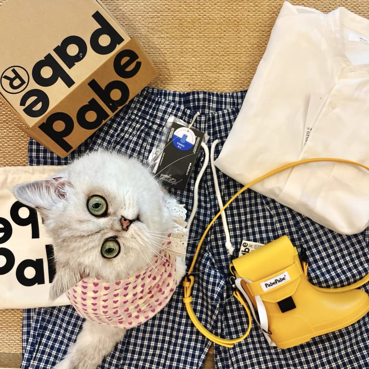 猫服 ハートレース お出かけワンピース
