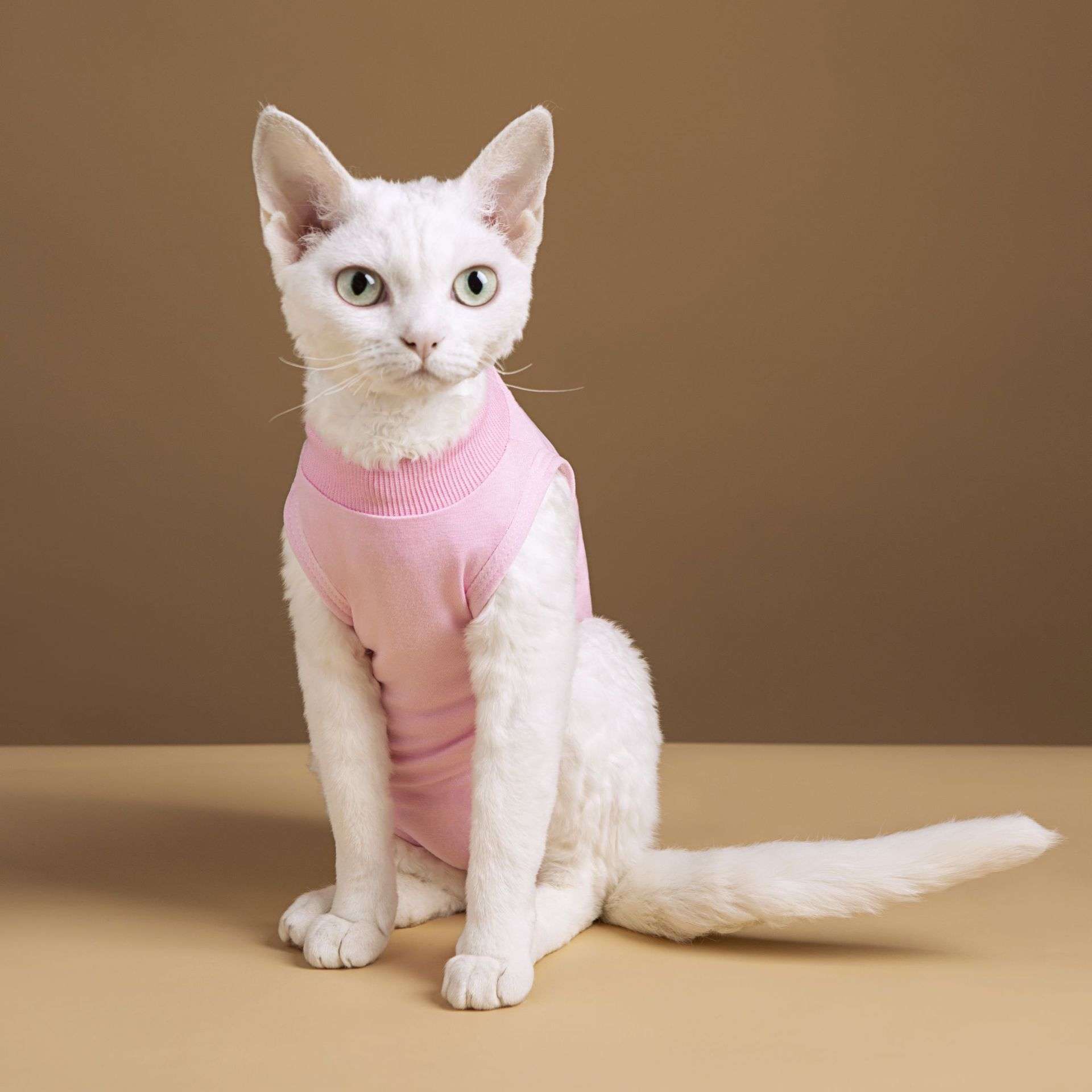 Cat Clothing Clothing | Gentleman-Style Cat Tuxedo