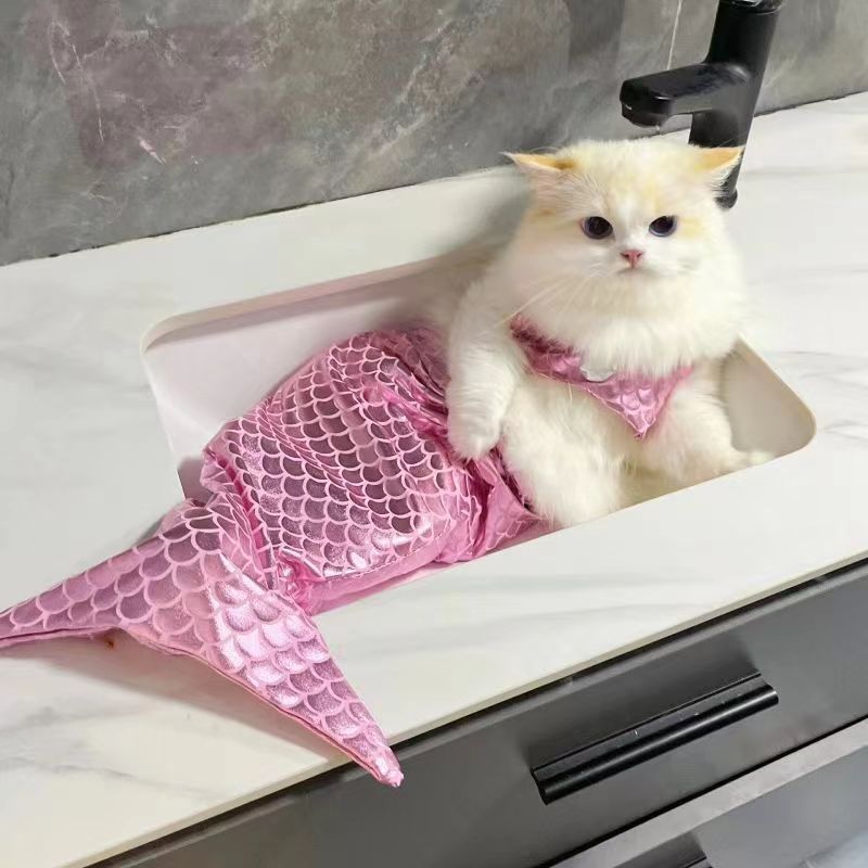 https://fulmo-img-server.com/nekohapi/710f1f24-dd14-47f7-8894-005ec08540a4.jpg
