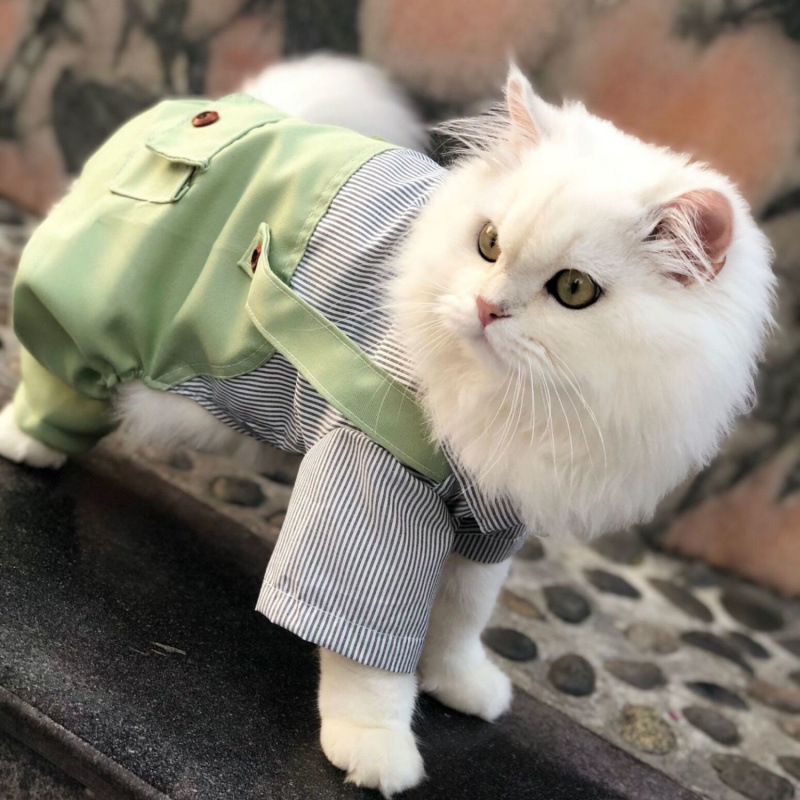 猫服 ストライプシャツ重ね着風ベスト付き　洋服
