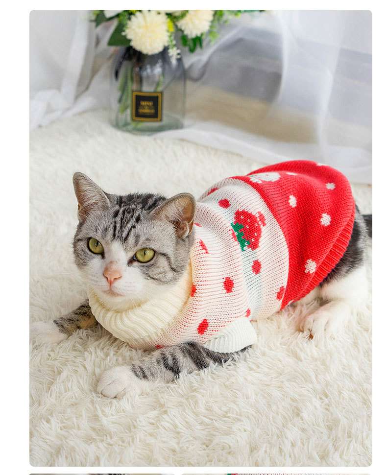 猫服 防寒服 | ふわもこクリスマスニットウェア