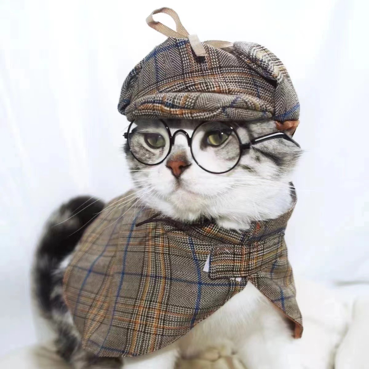 https://fulmo-img-server.com/nekohapi/74bbf97f-148c-4e64-a952-d1fb8933dd15.jpg