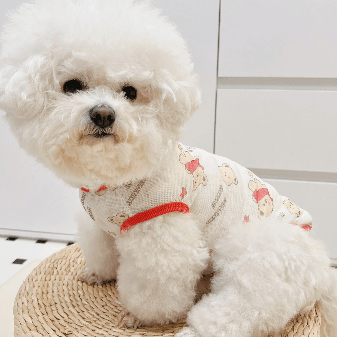 https://fulmo-img-server.com/nekohapi/76f75a1b-f1da-475a-97c8-5f58737c5f7a.jpg