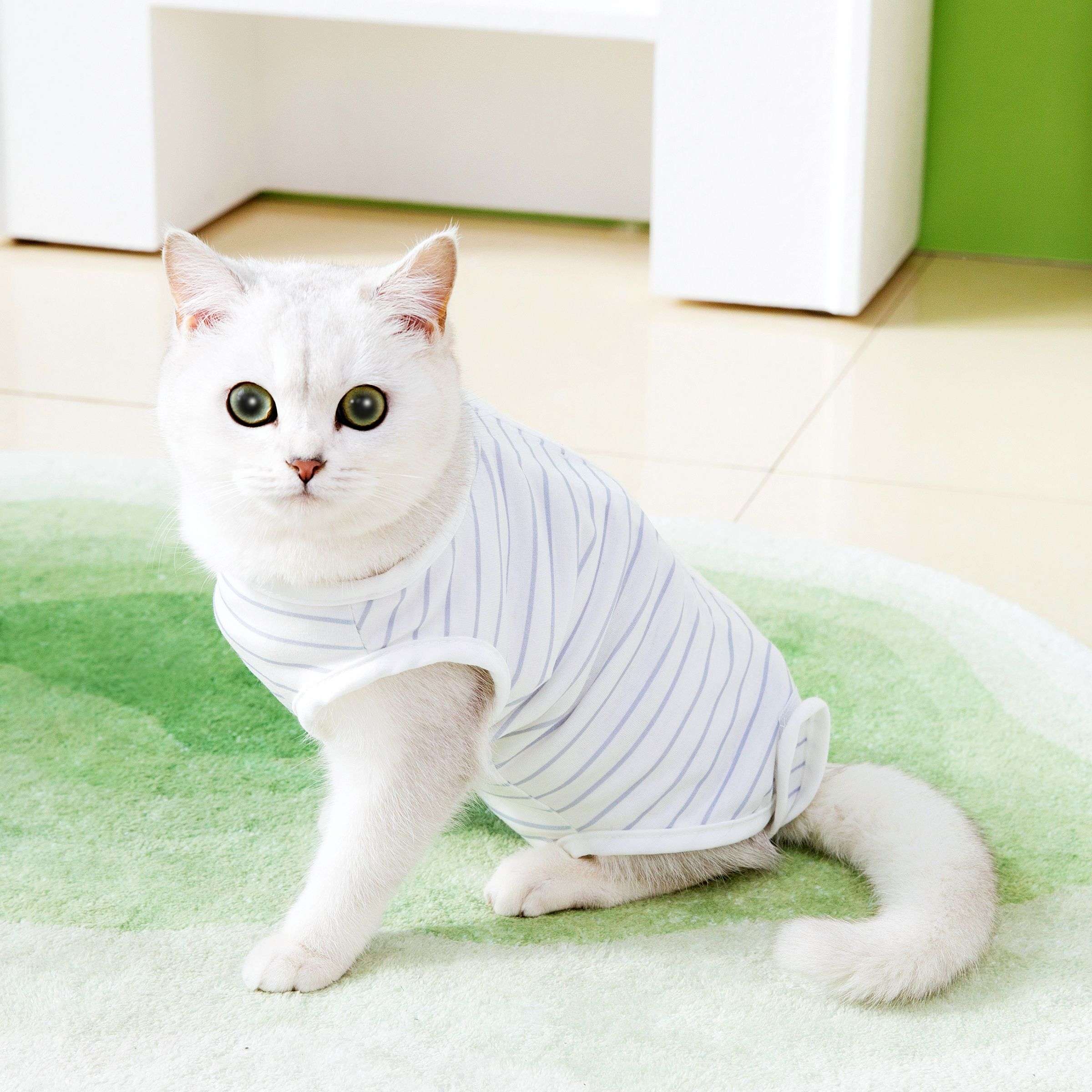 Cat Clothing Recovery Suit | Fluffy Healing Post-Op Wear