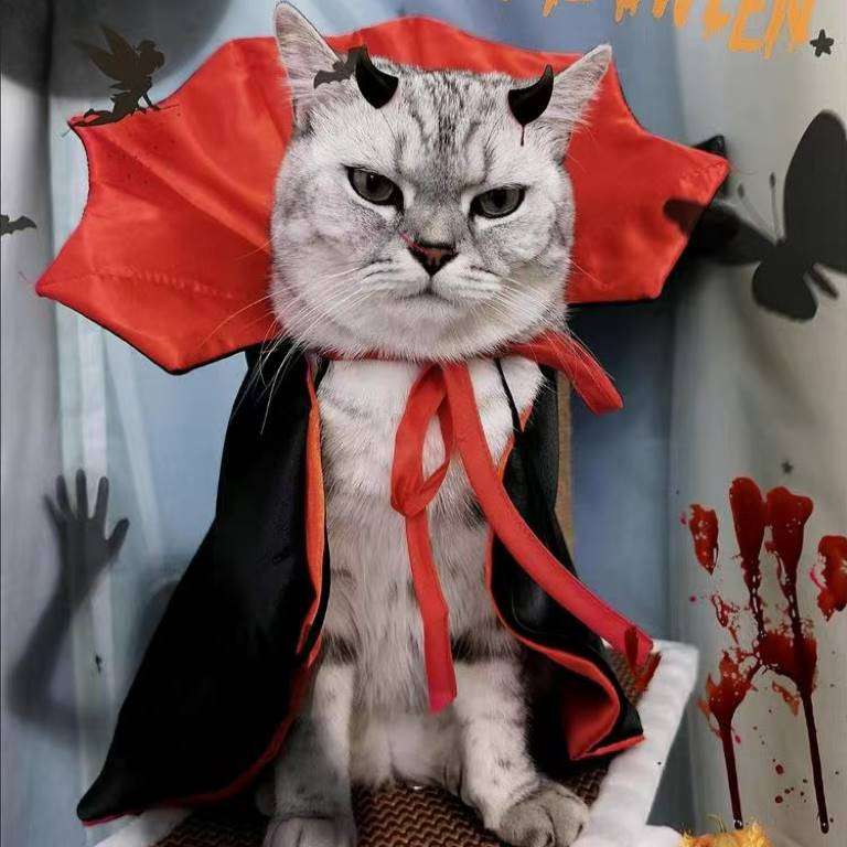 猫 コスプレ | 吸血鬼風ペット用ハロウィン衣装