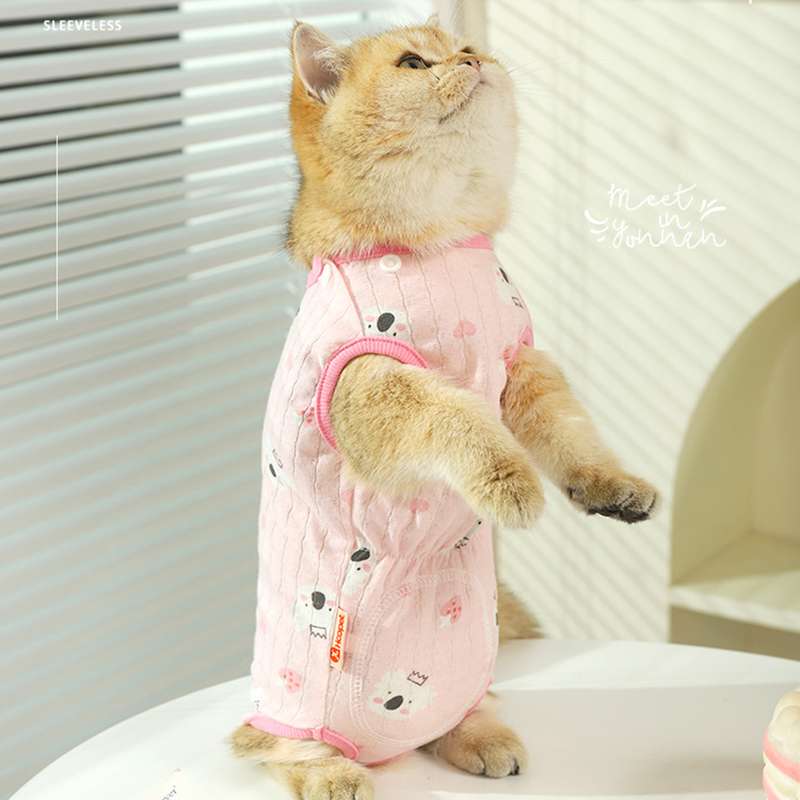 Cat Clothing Cosplay | Fluffy Lady Kitty Dress