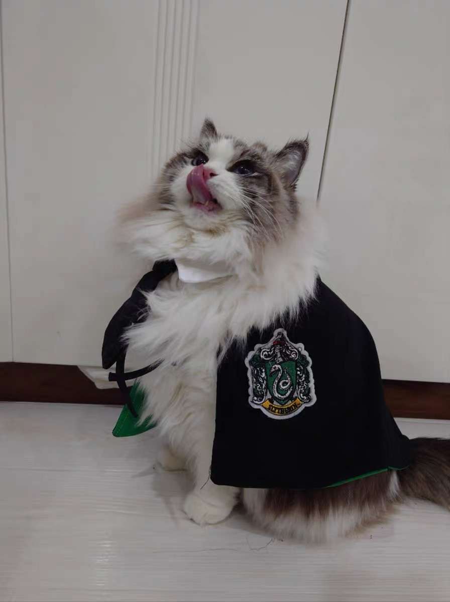 猫服 コスプレ | 魔法学校風 猫用ローブ