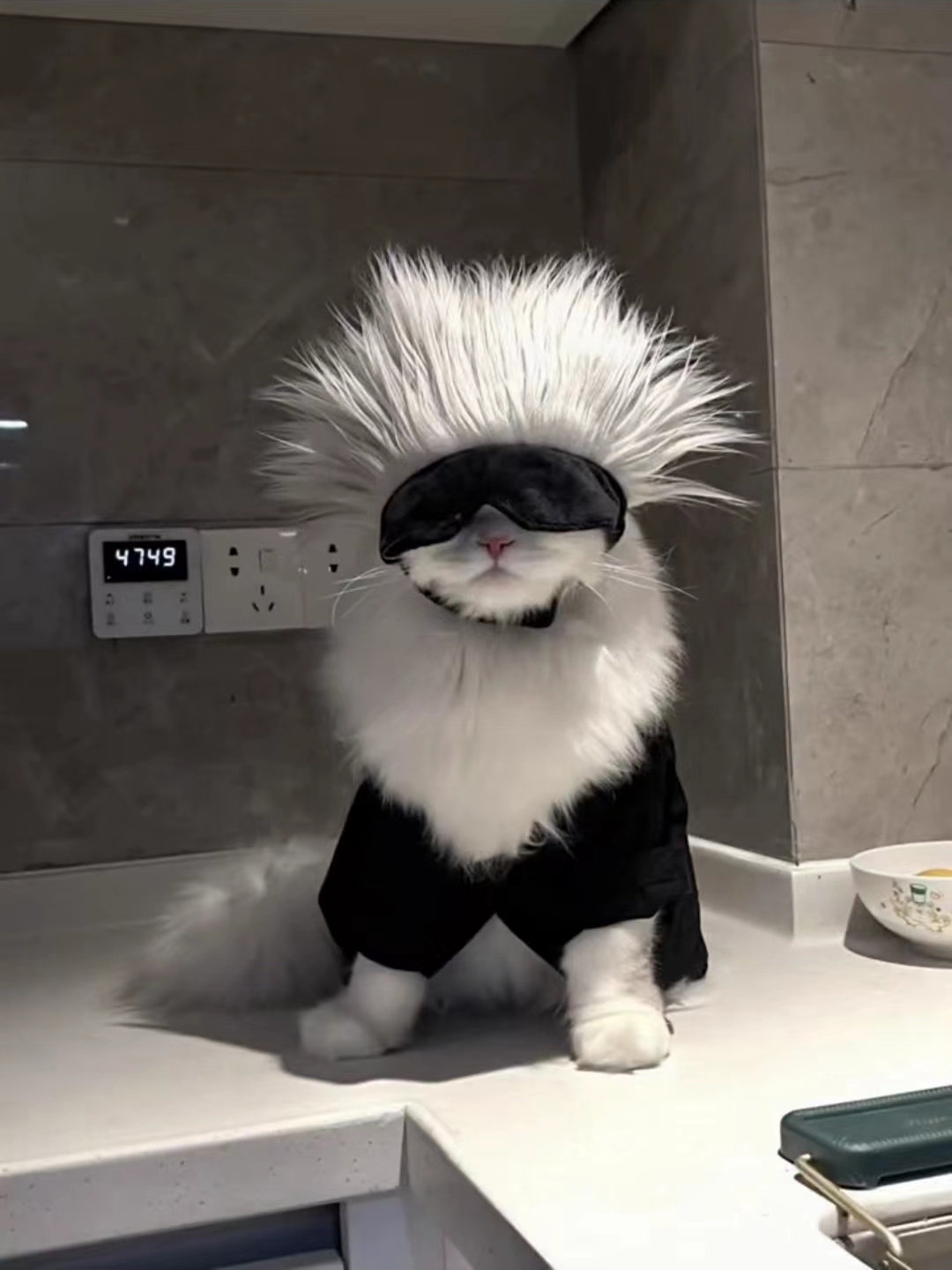 猫服 未来型サングラス忍者セット