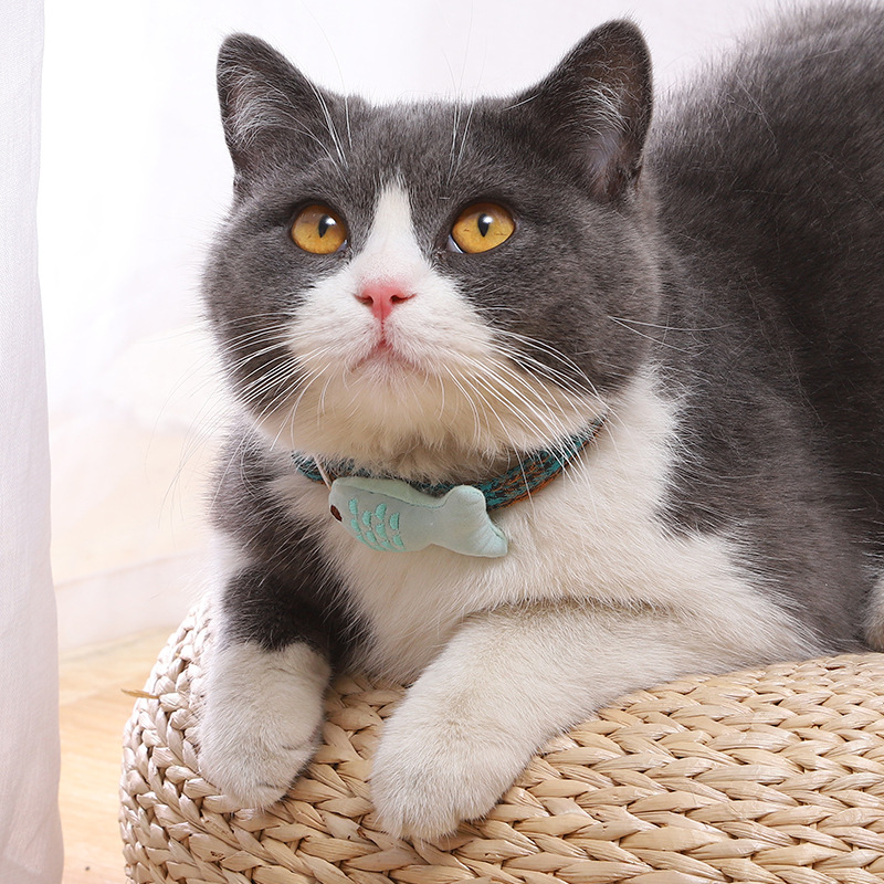 猫服 小魚モチーフ付き格子柄刺繍首輪