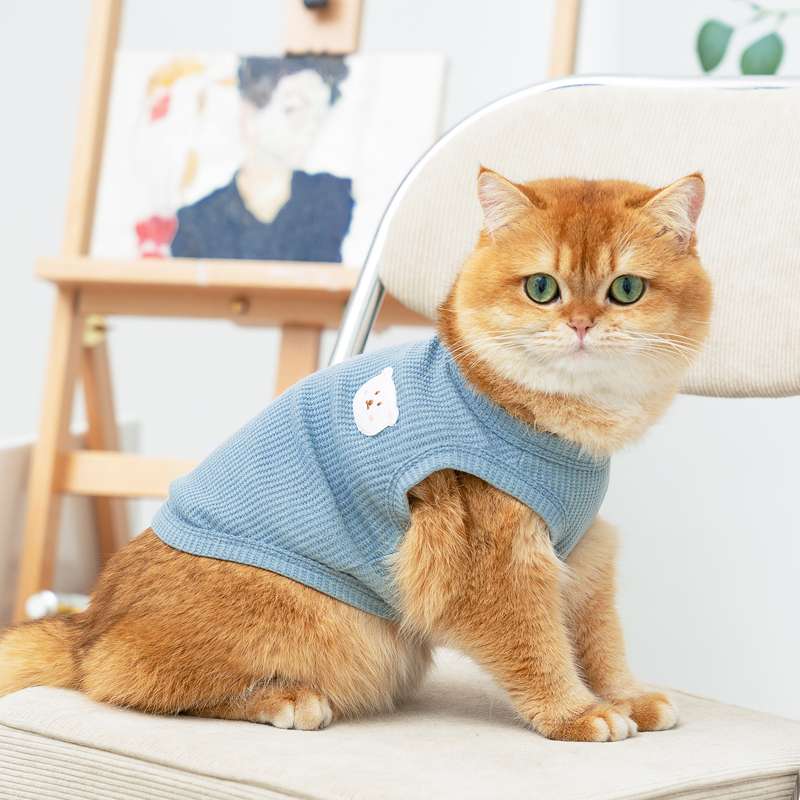 猫服 もふもふ猫ちゃんのおしゃれベスト