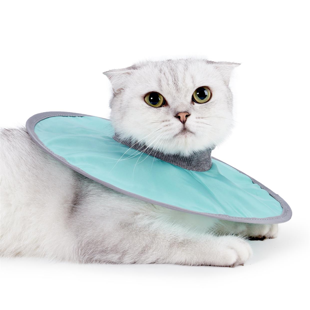 猫服 猫ちゃん快適保護カラー
