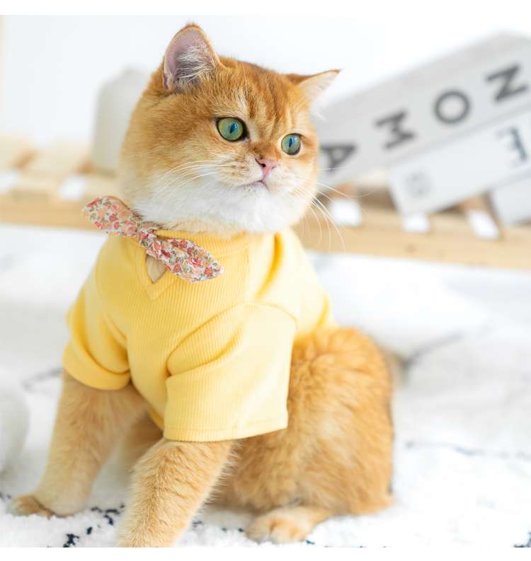 Cat Clothing Clothing | Fluffy Cat Fashion Border