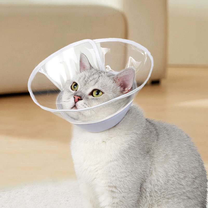 Cat Elizabethan Collar | Comfortable Pet Elizabethan Collar