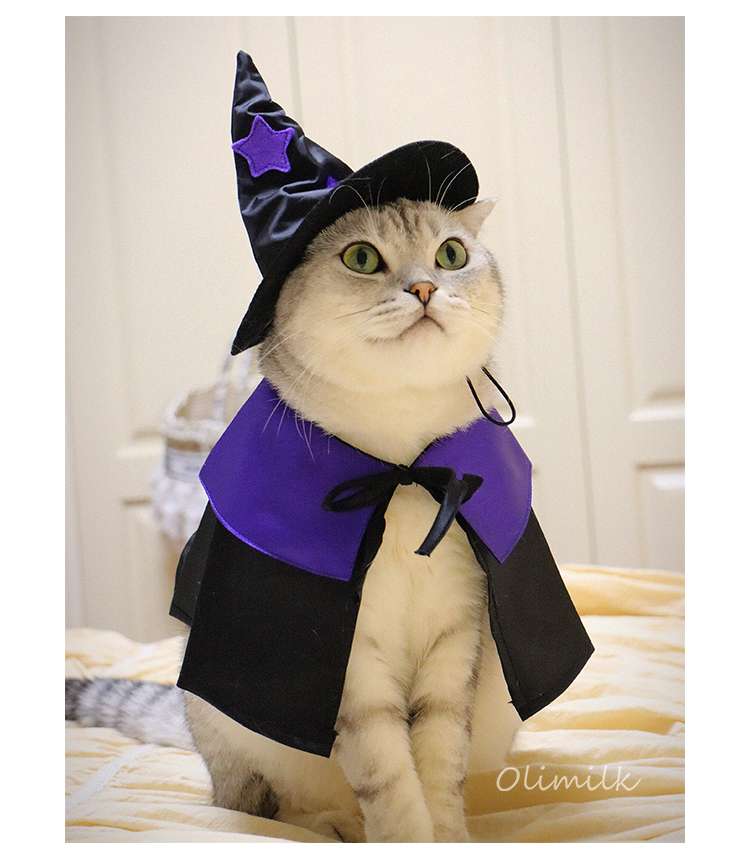 猫服  ハロウィン魔法使い猫コスチュームセット