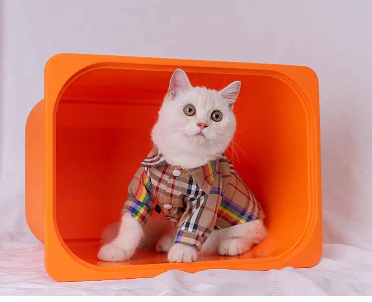 https://fulmo-img-server.com/nekohapi/890ca3b5-54d4-4a44-a320-0cb1db204ca1.jpg