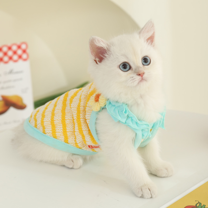 猫服 ふんわり優しいメッシュタンクトップ