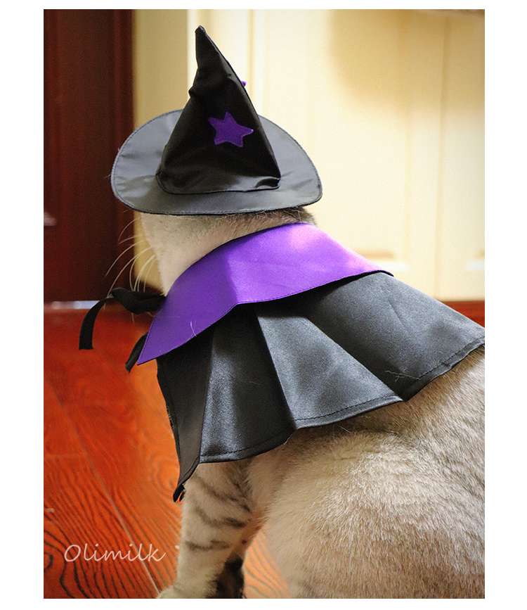 猫服  ハロウィン魔法使い猫コスチュームセット