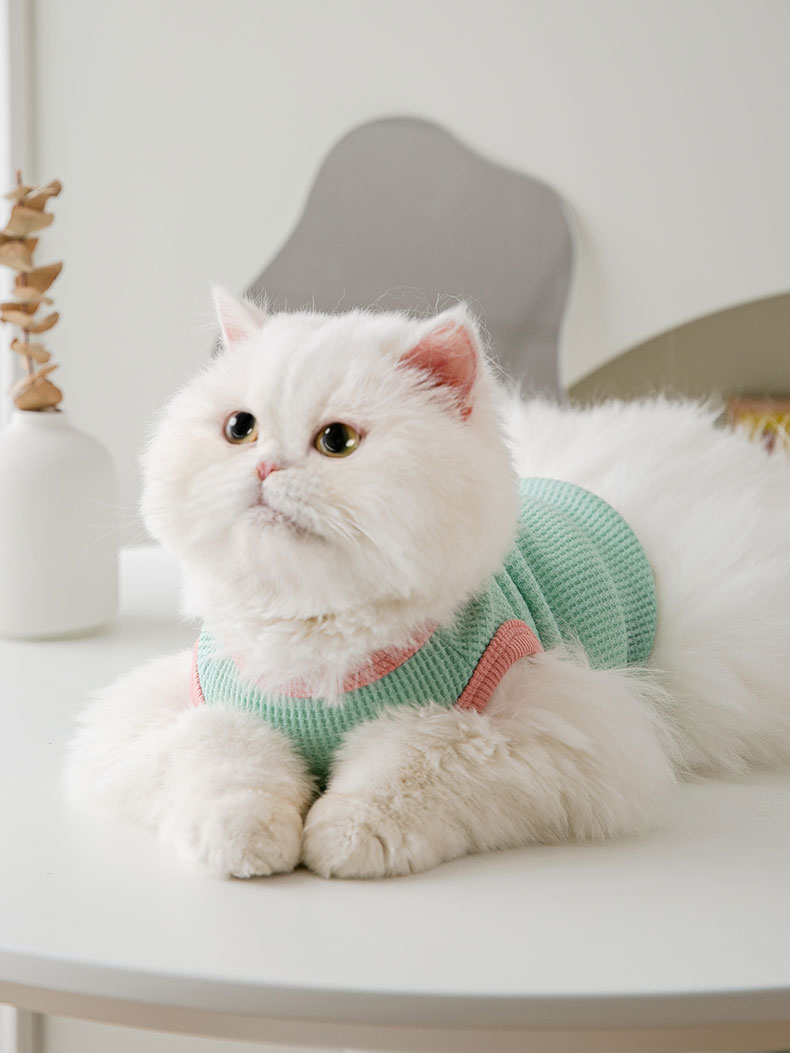 猫服 くまワッペン付きワッフル地タンクトップ猫服