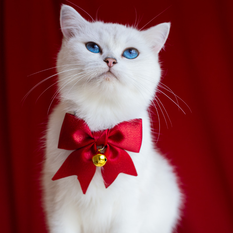 猫服 華やかリボンと鈴付きふわふわファー首輪