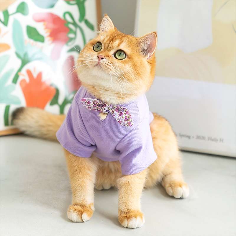 Cat Clothing Clothing | Fluffy Cat Fashion Border