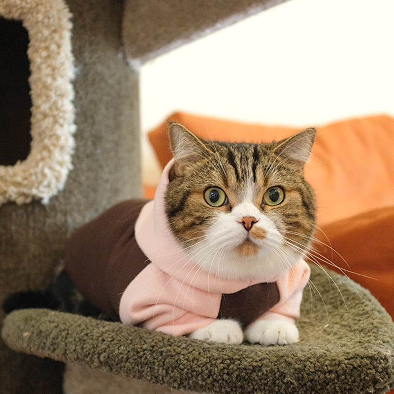 猫服 猫用カジュアル長袖トップス