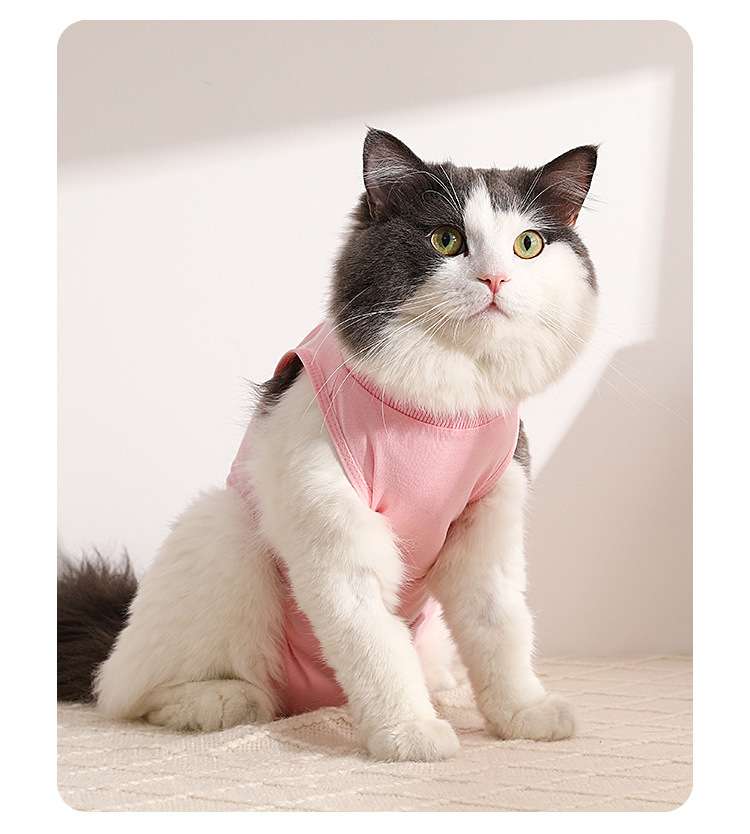 Cat Clothing Recovery Suit | Fluffy Cat Post-Op Wear