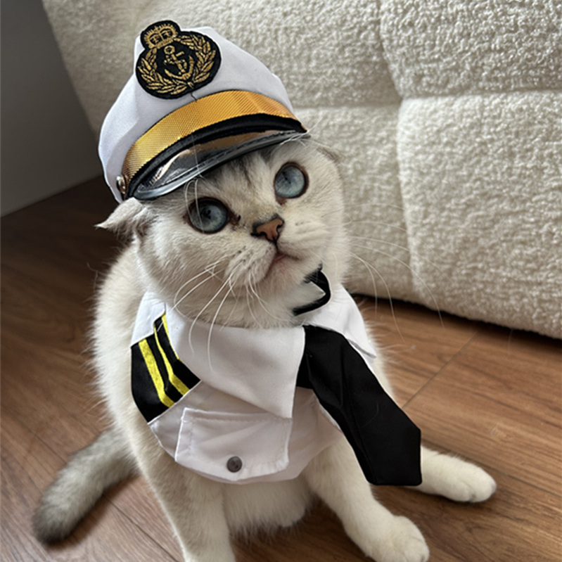 https://fulmo-img-server.com/nekohapi/8e567400-c1ed-4e81-b2d9-a465af39ef2c.jpg