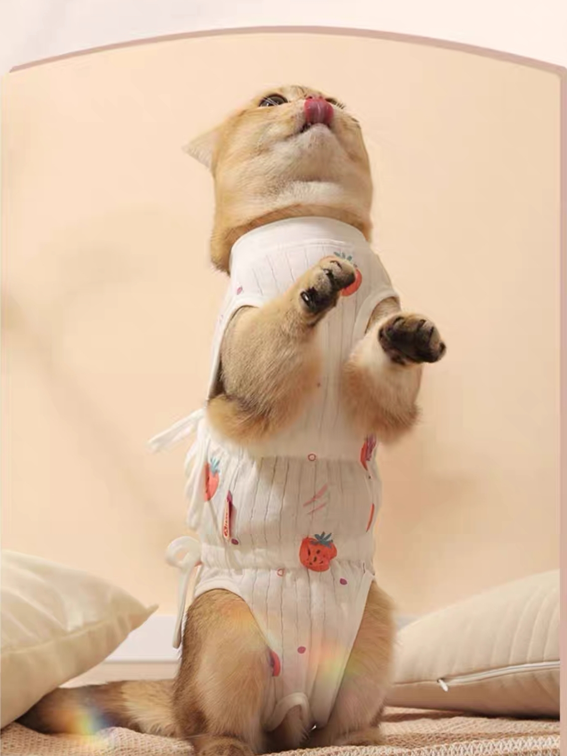 https://fulmo-img-server.com/nekohapi/8ff0d4ad-8654-4225-a3cd-0aa5c46b001d.jpg