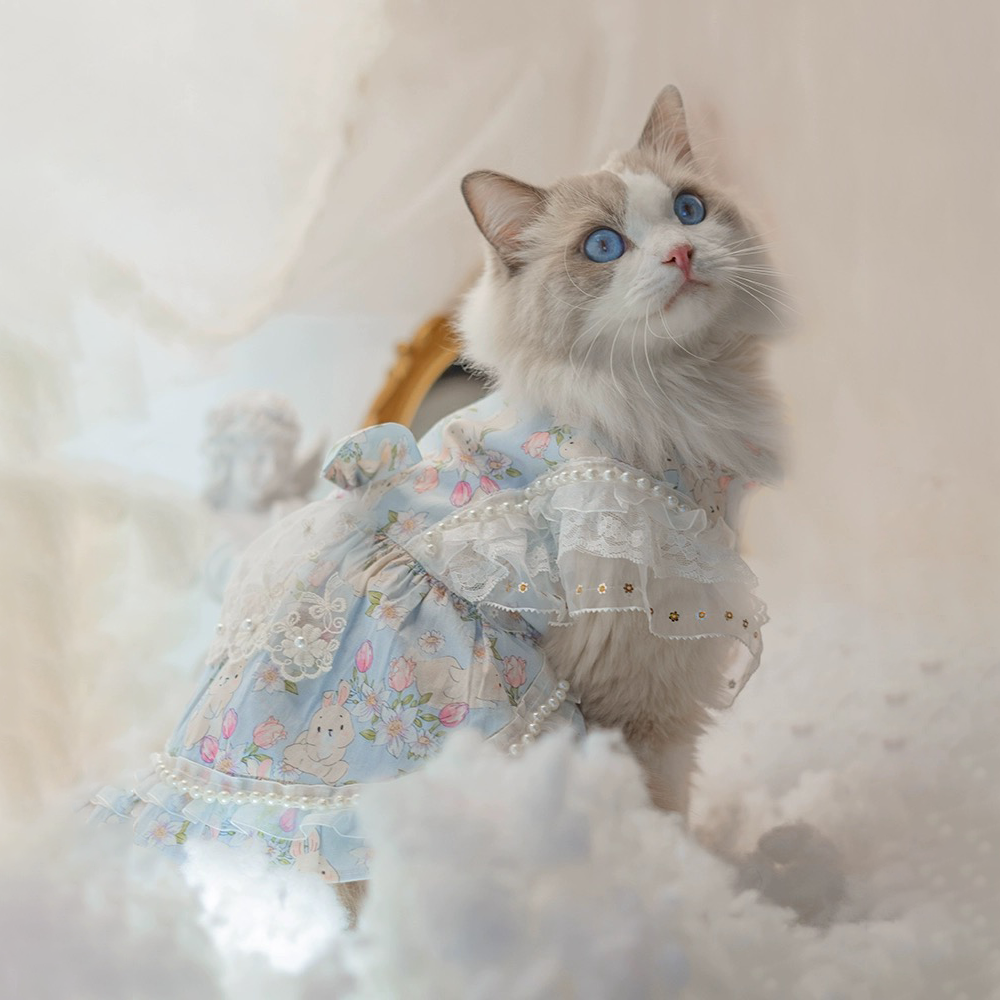 Cat Clothing Clothing | Lace Flower Pattern Dress for Cats