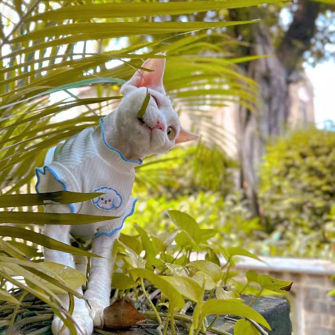 猫服 雲型刺繍入りリブ編みつなぎ　スフィンクス専用