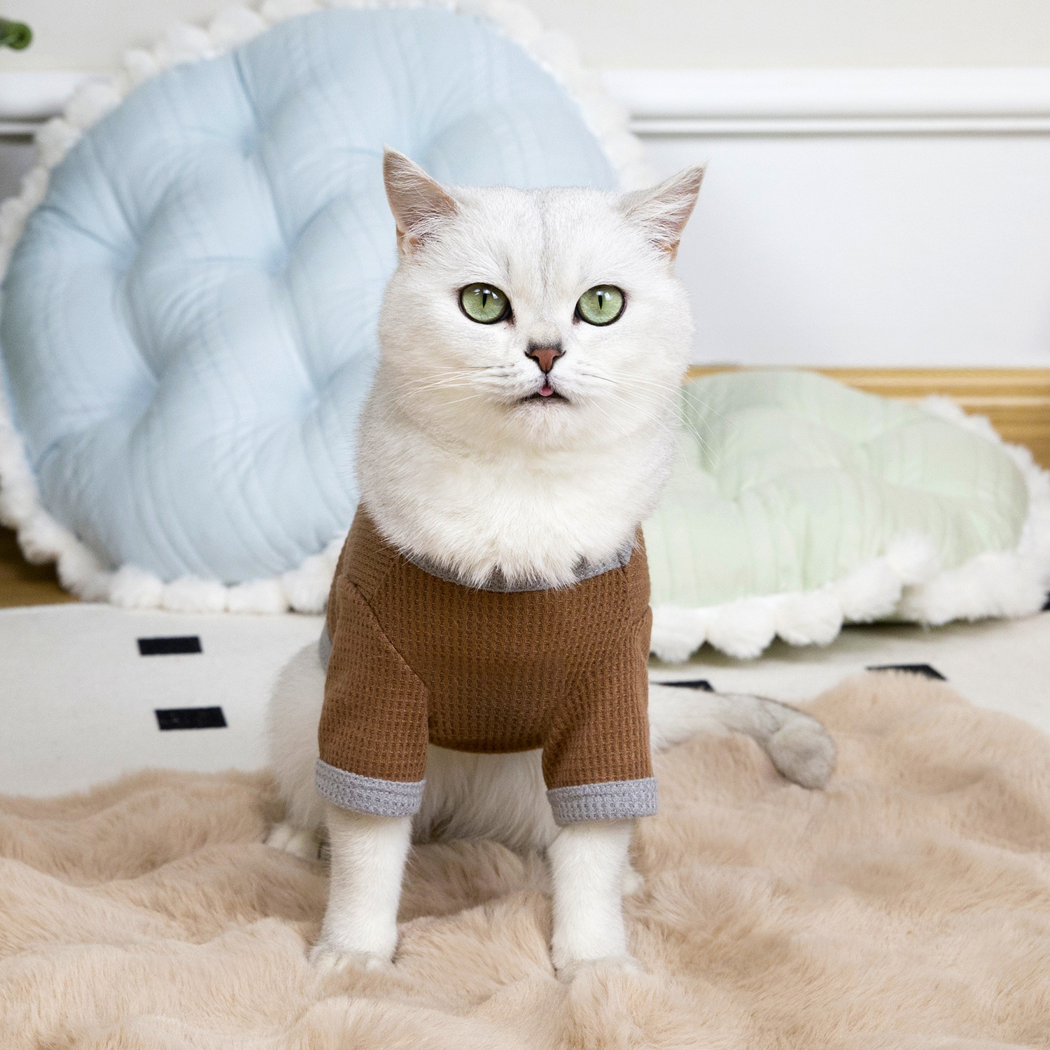 猫服 愛らしい動物刺繍の編み地ニット猫用洋服