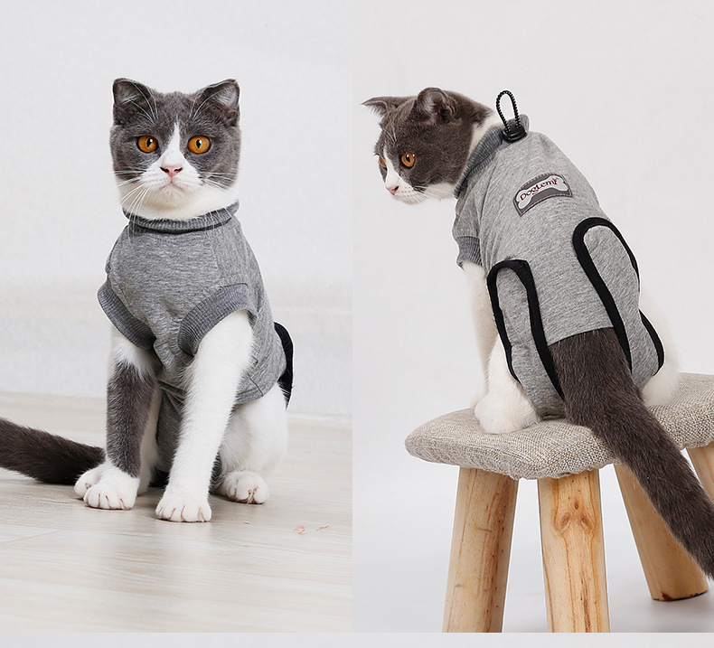 愛猫の回復をサポートする包帯型術後専用ケア服