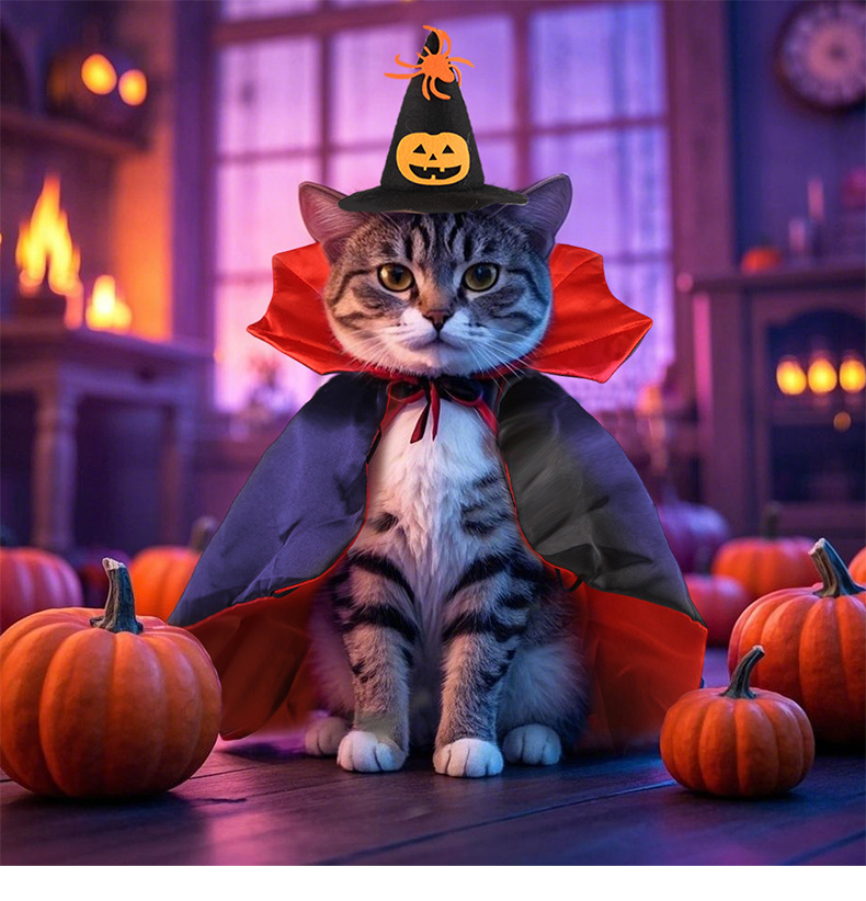 猫服 かぼちゃ魔法使い猫マント