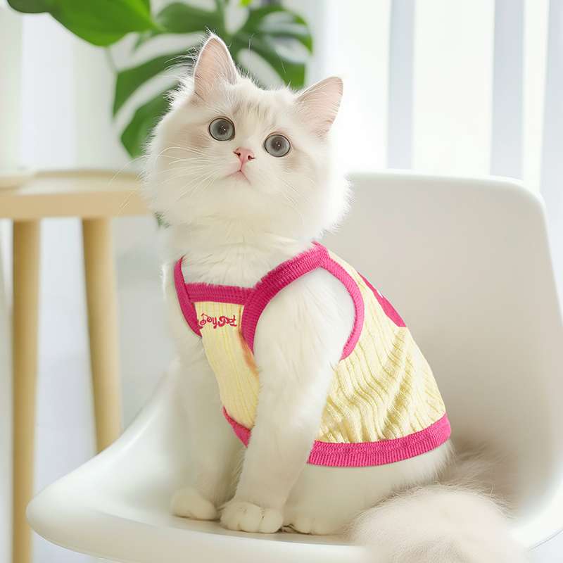 https://fulmo-img-server.com/nekohapi/938d891db1a14ed7b81f02d809c2784e.jepg