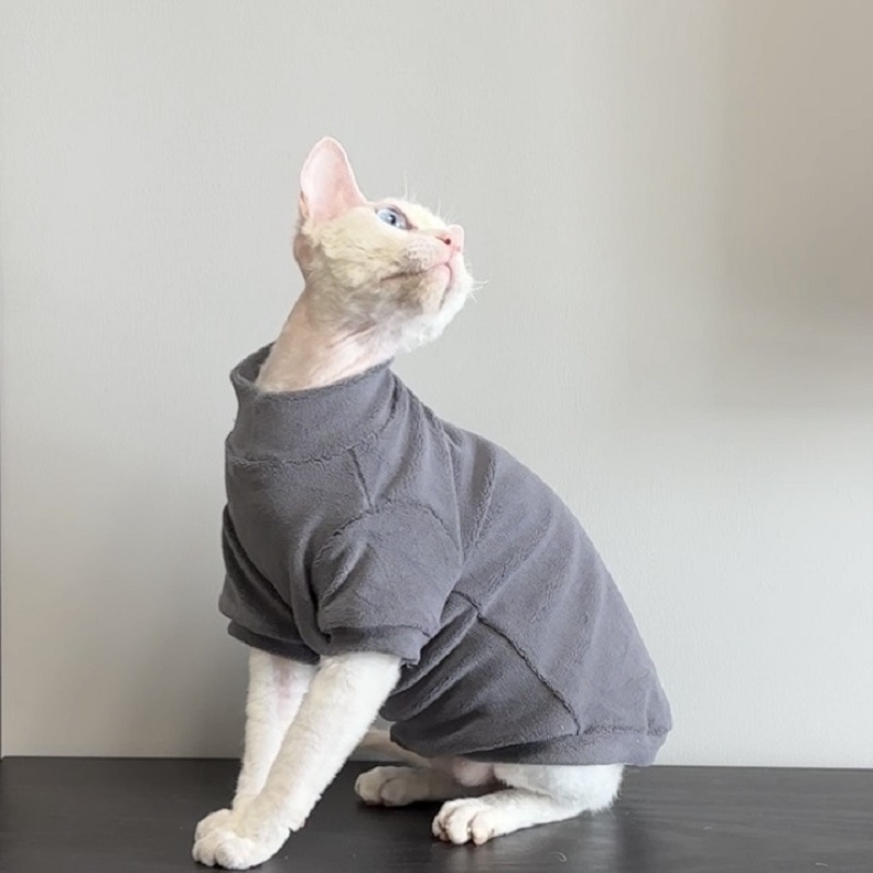 https://fulmo-img-server.com/nekohapi/943a7594-0438-4b29-901b-d59682eadbde.jpg